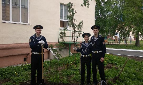 Посадка деревьев и кустарников