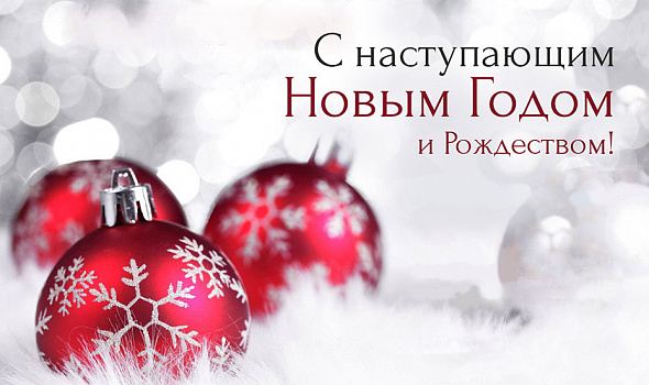 С наступающим Новым годом! 